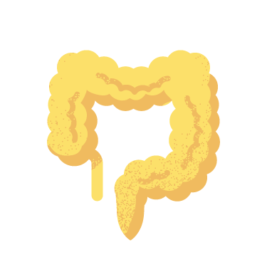 大腸直腸外科圖示